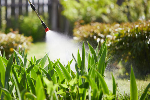 24/7 Emergency Termite Control experts in Vonore, TN