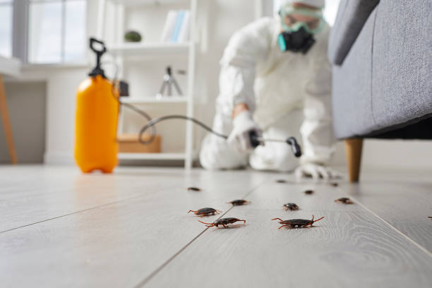 Trusted Fumigation Services service in Vonore, TN - Nex Pest Control