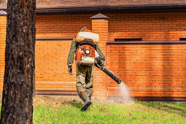 Trusted Termite Control service in Vonore, TN - Nex Pest Control